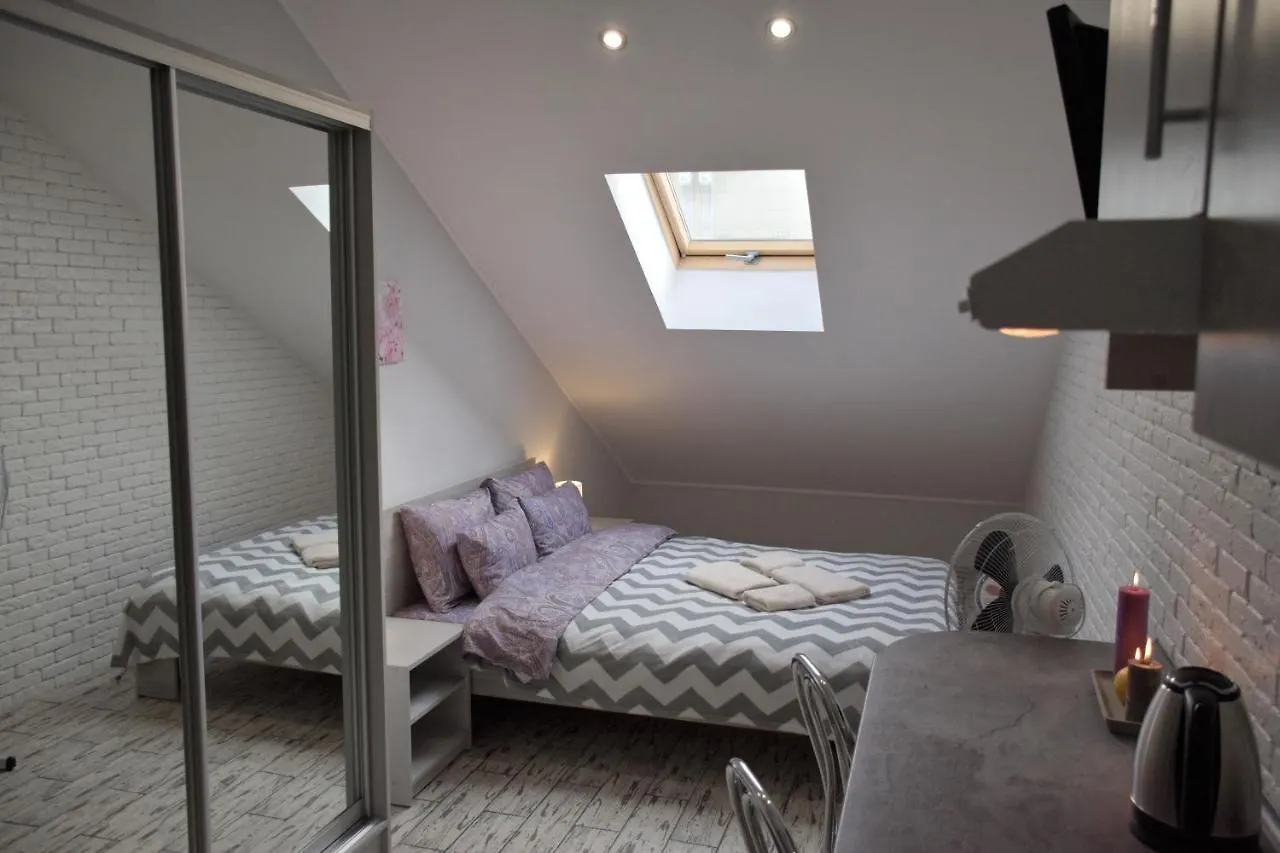 Central Mansard Studios Lviv Appartement