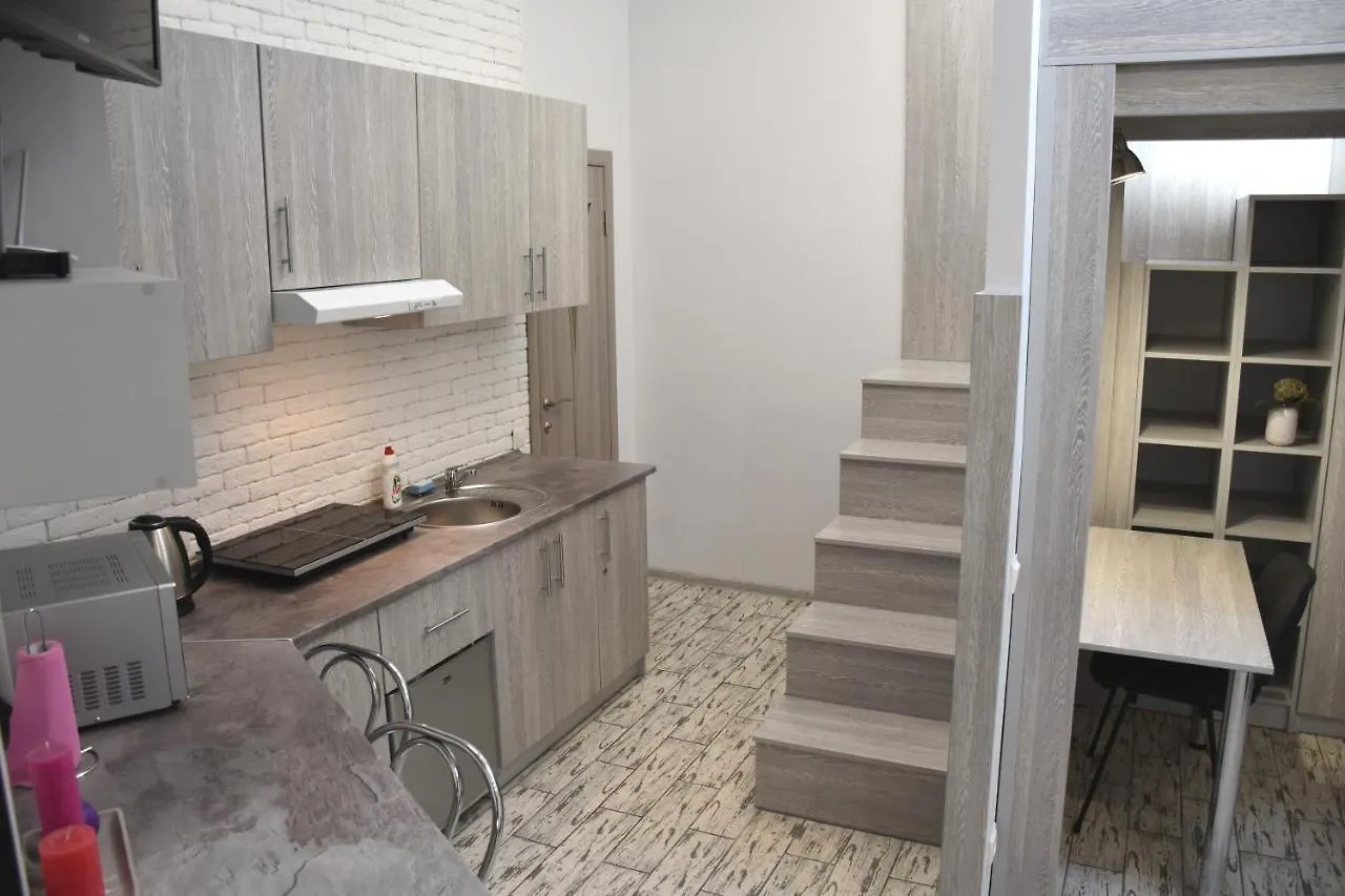 Appartement Central Mansard Studios Lviv Ukraine