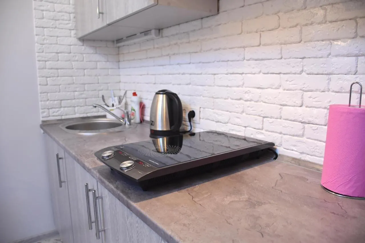 Central Mansard Studios Lviv Apartment